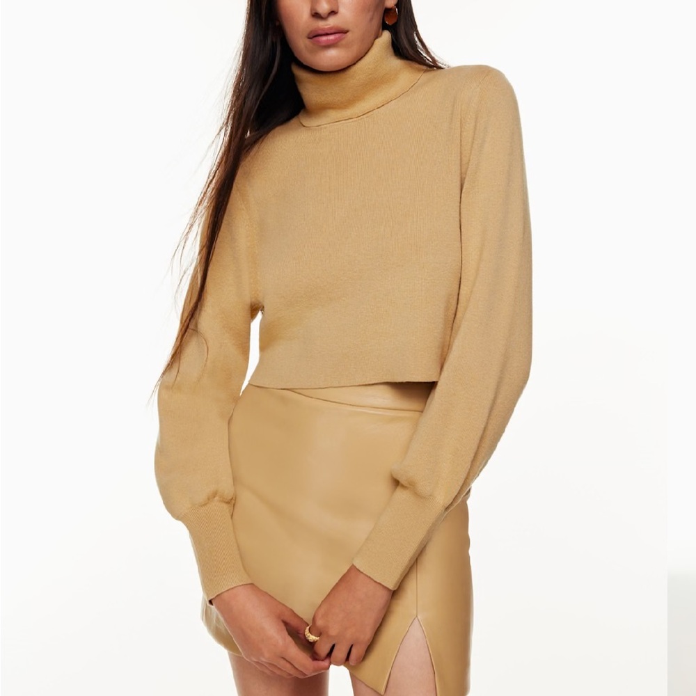Aritzia Rebecca Taupe Turtleneck Sweater